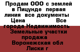 Продам ООО с землей в Пицунде, первая линия, все документы › Цена ­ 9 000 000 - Все города Недвижимость » Земельные участки продажа   . Воронежская обл.,Лиски г.